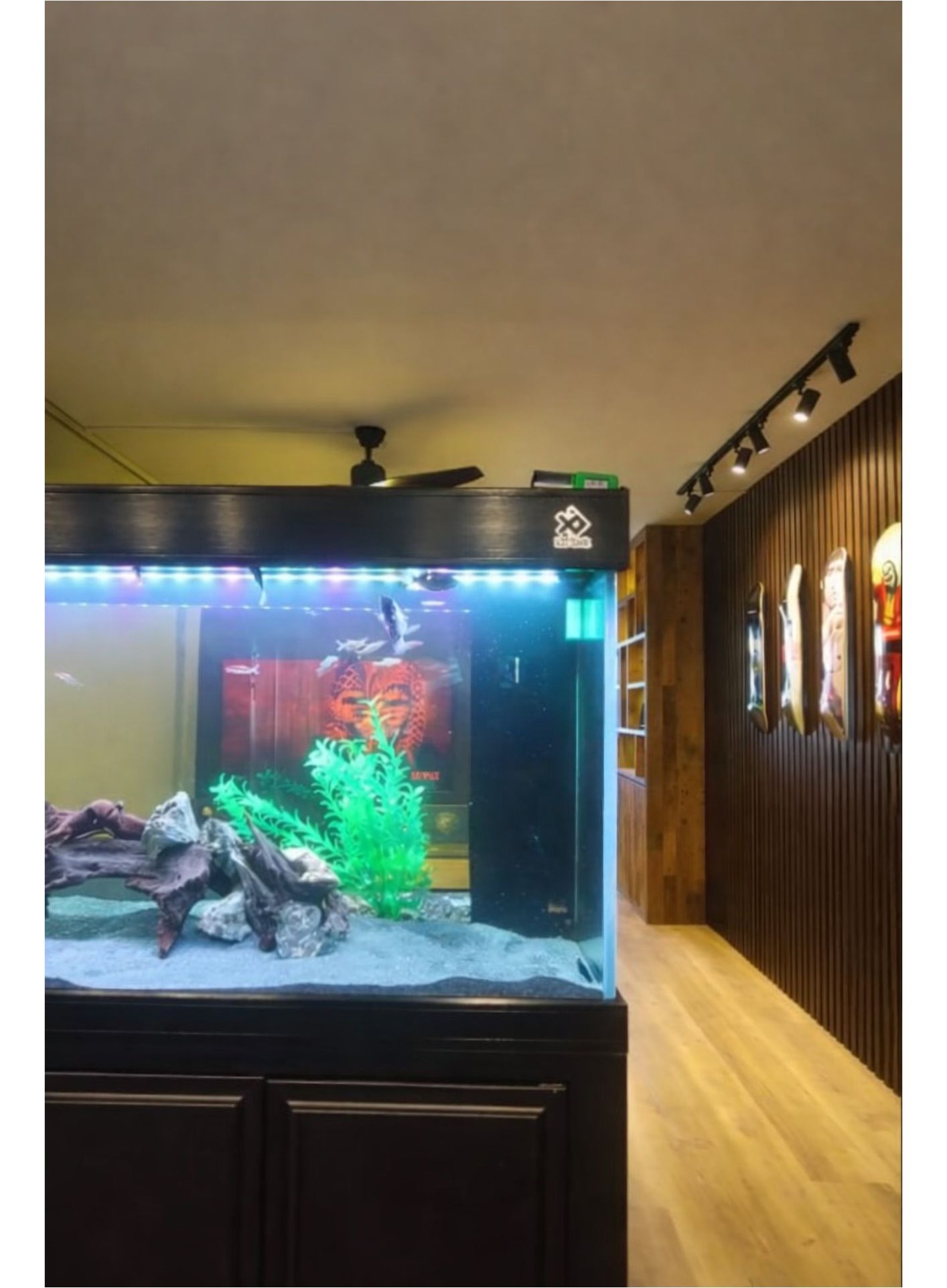 Fish tank display on black cabinet with track lighting and surfboard wall decor