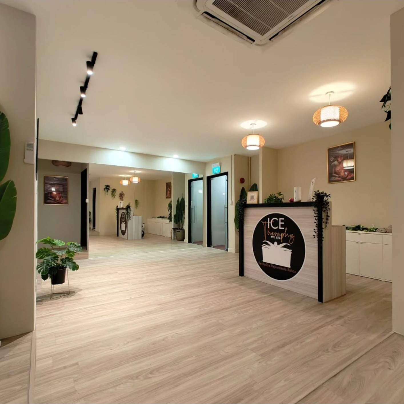 Ice Therapy reception area with branded counter, light wood flooring and tropical plants