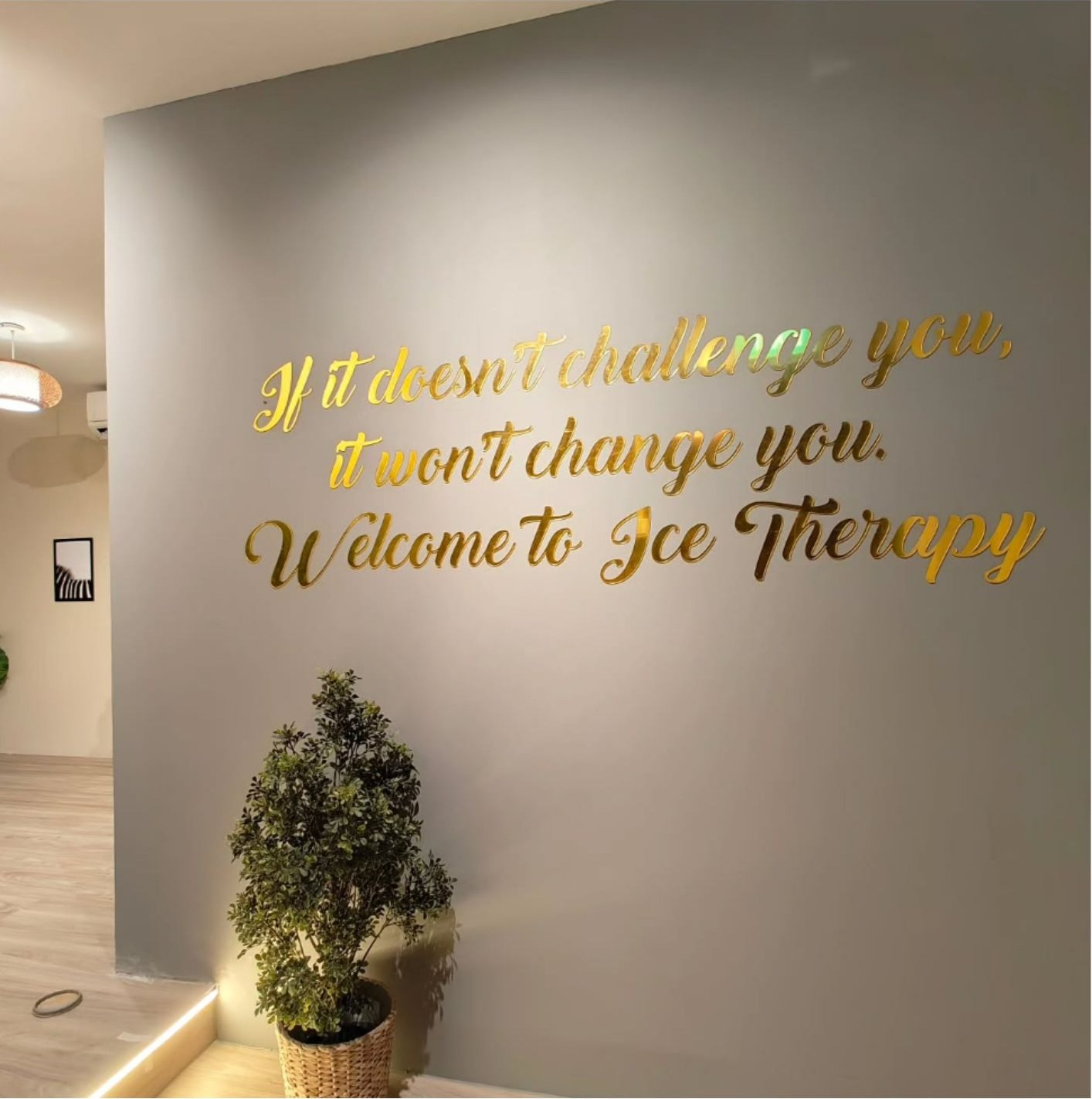 Gold script feature wall reading 'Welcome to Ice Therapy' with potted tree and warm lighting